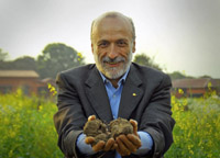 Slow food story